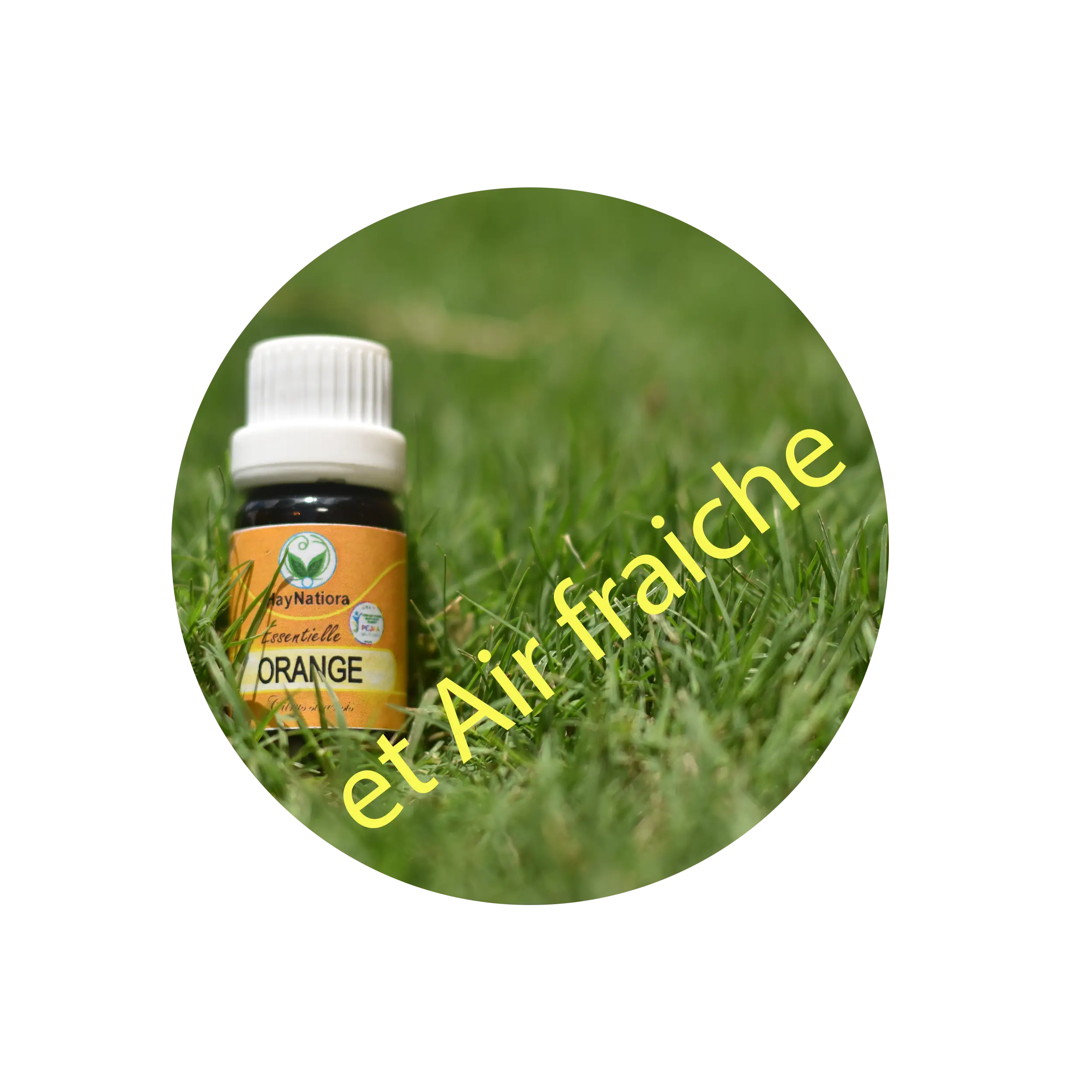 Air-Fresh-Orange