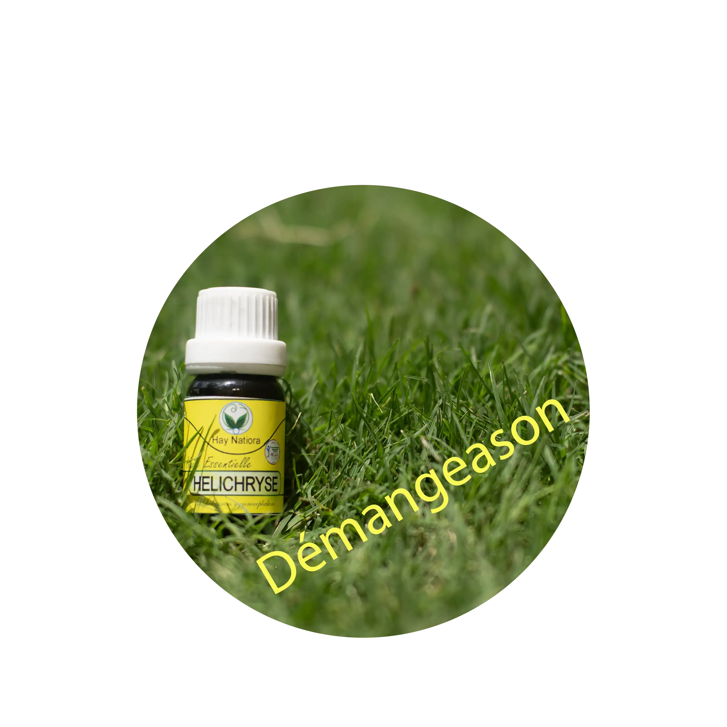 Demangeaison-Helichryse