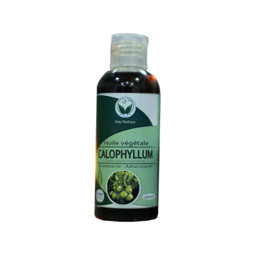 HV CALOPHYLUM 100ml