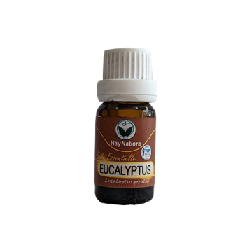 HE EUCALYPTUS GLOBULUS 10ml