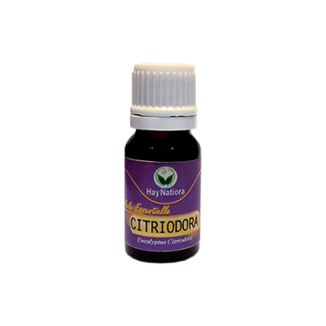 HE CITRIODORA 10ml